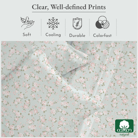 California Design Den Rose Queen packaging highlighting recyclable materials.