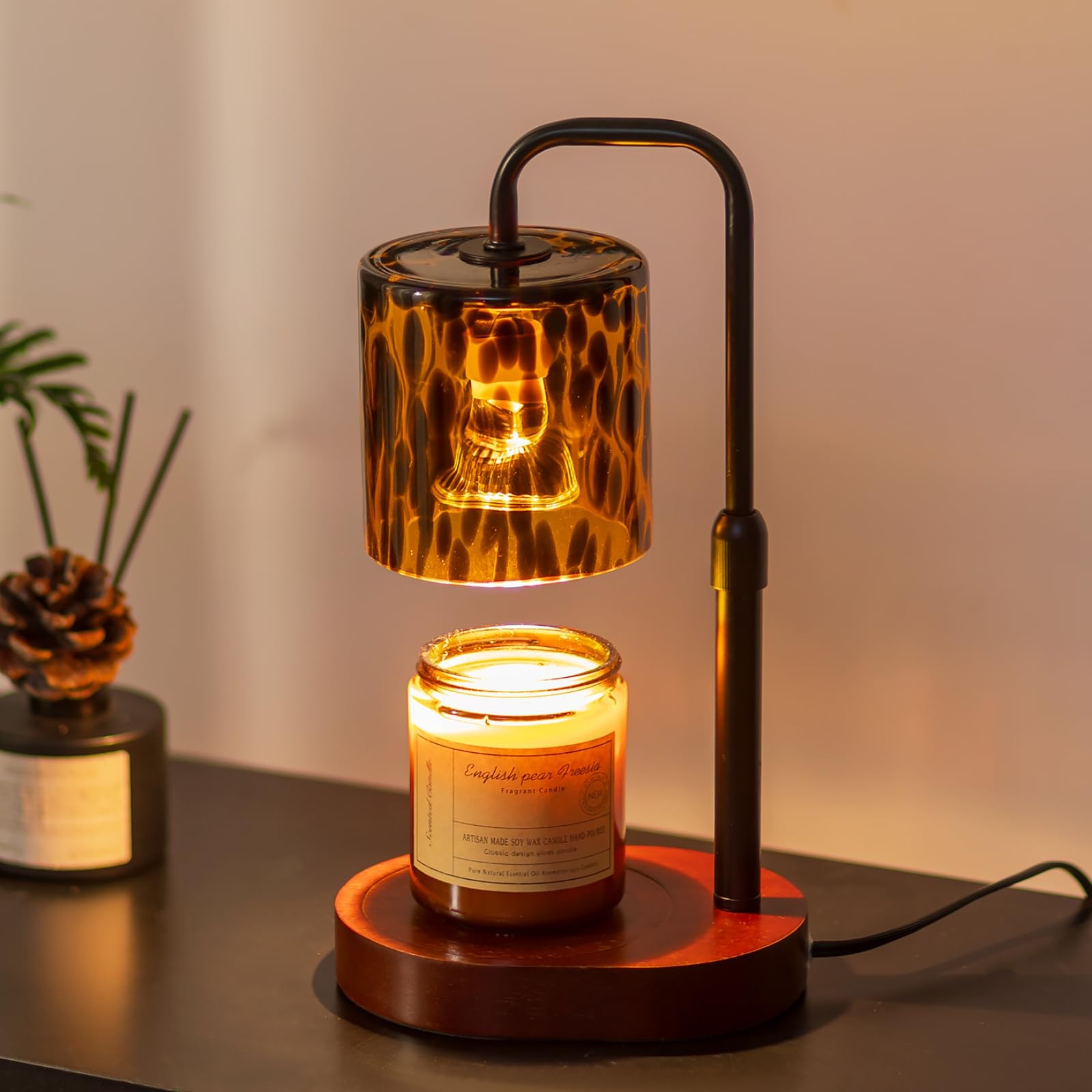 Candeldo tortoise shell lamp base with warm ambient light for living rooms