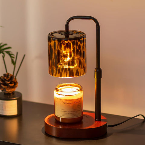 Candeldo tortoise shell lamp base with warm ambient light for living rooms