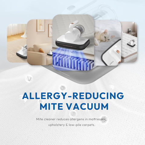 Candy Mattress Vacuum removes pet hair from sofa