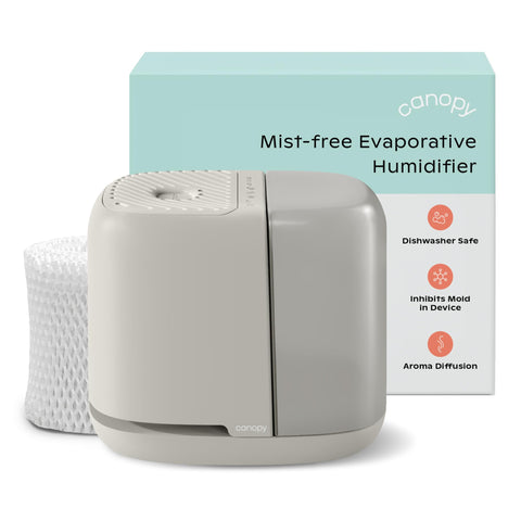 Canopy Bedside Humidifier 2.0 Moonstruck compact bedside design for comfortable humidity.