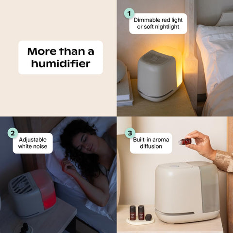 Canopy Bedside Humidifier 2.0 sleek, compact design fits rooms.