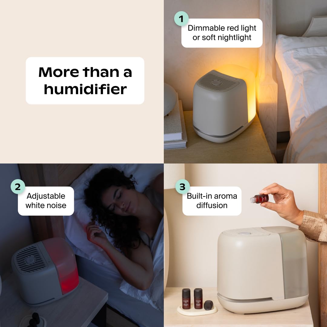 Canopy silent-operation mode keeps nights peaceful with minimal noise.