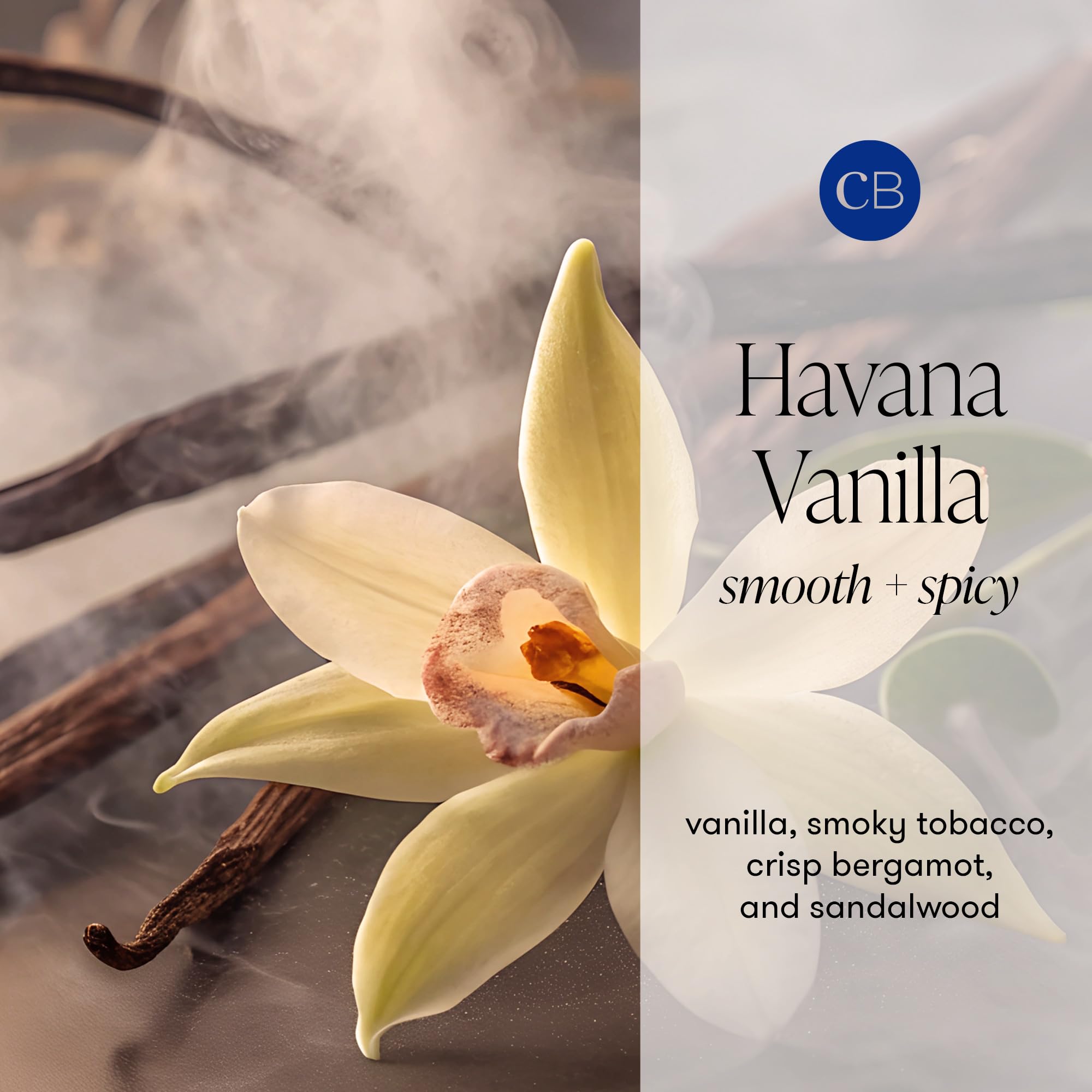 Capri Blue Havana Vanilla candle reveals vanilla and tobacco fragrance notes