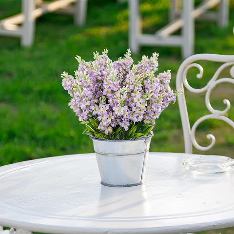Carfoeny patio lilac plants display for balcony or porch spaces