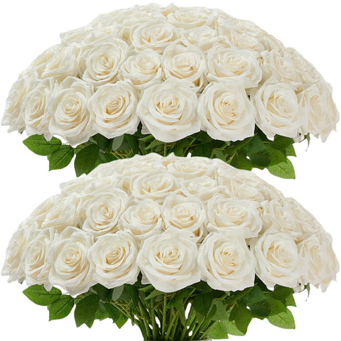 Carlita’s Blooms ivory rose 50pcs stems for elegant table centerpieces