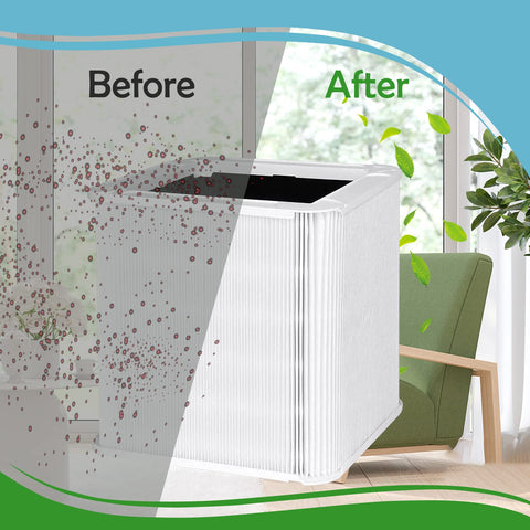 Carmerny packaging showing two ready-to-install filters.