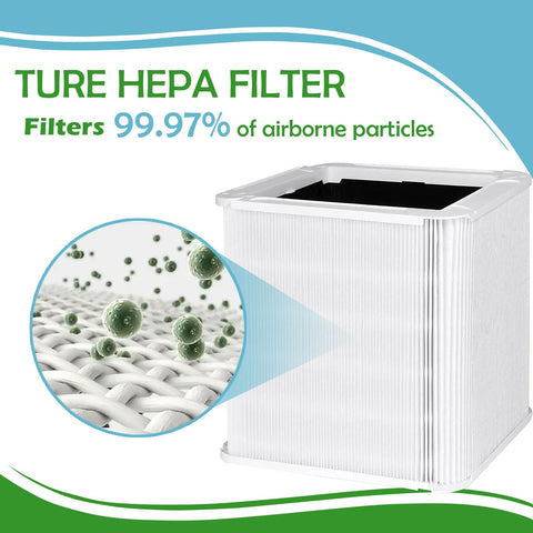 Carmerny True HEPA filter close-up showing filtration precision.