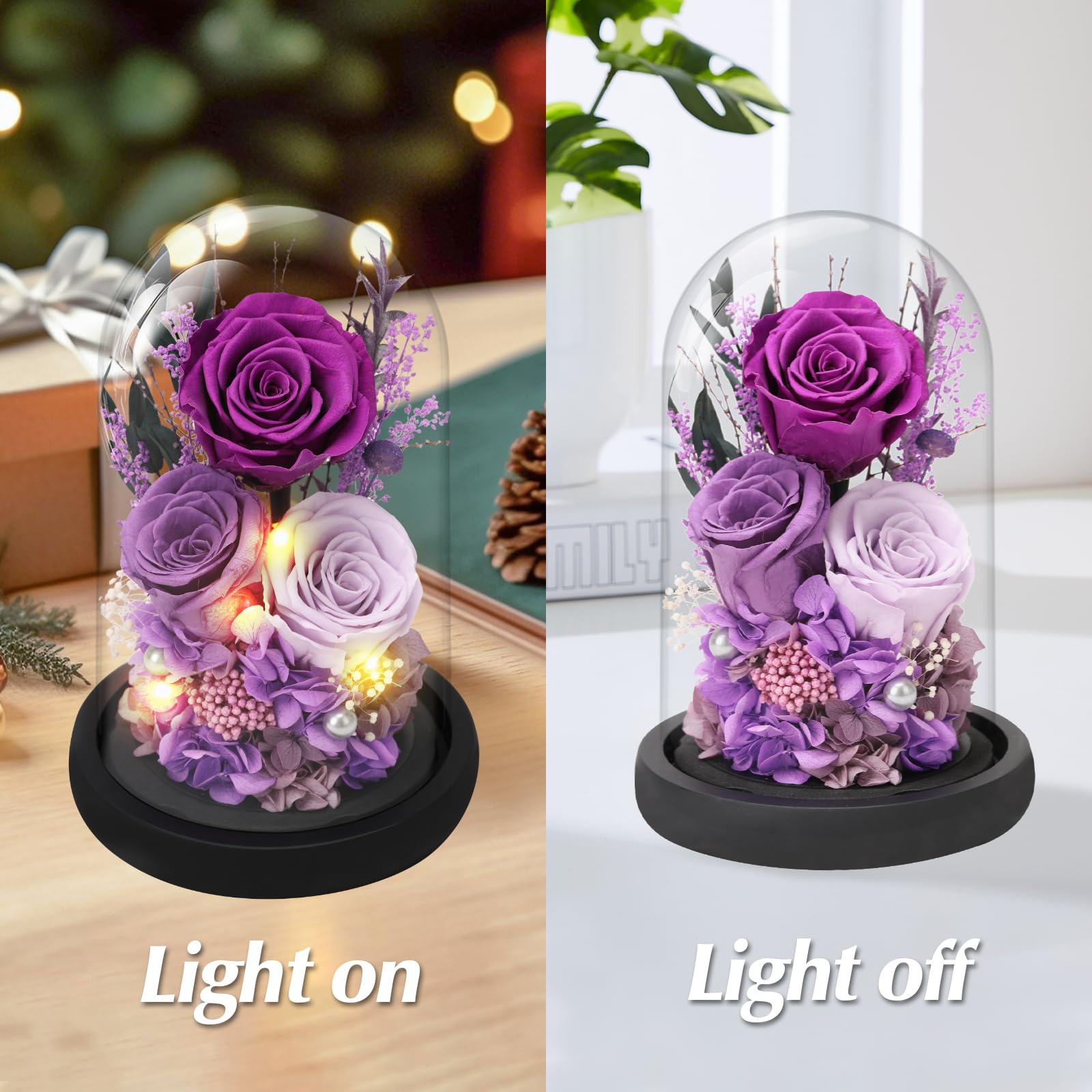 Casaido gift box and greeting card-ready rose ideal for special occasions.