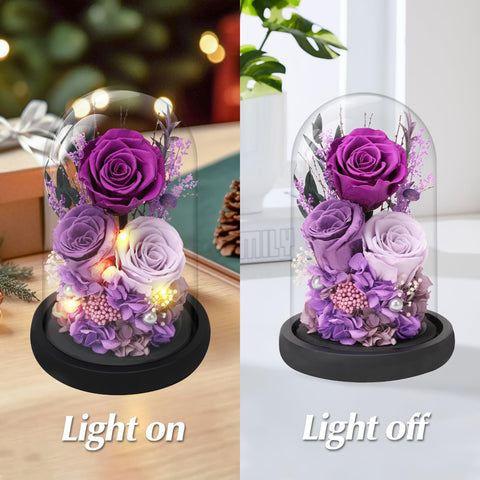 Casaido gift box and greeting card-ready rose ideal for special occasions.