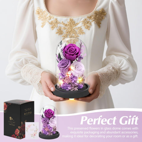 Casaido purple preserved rose dome closeup highlights vivid color and meticulous craftsmanship.
