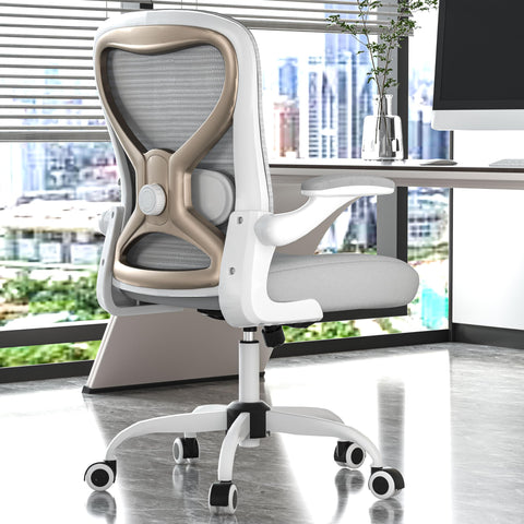 CASASIO ergonomic lumbar-support chair with adjustable back support for comfortable posture.