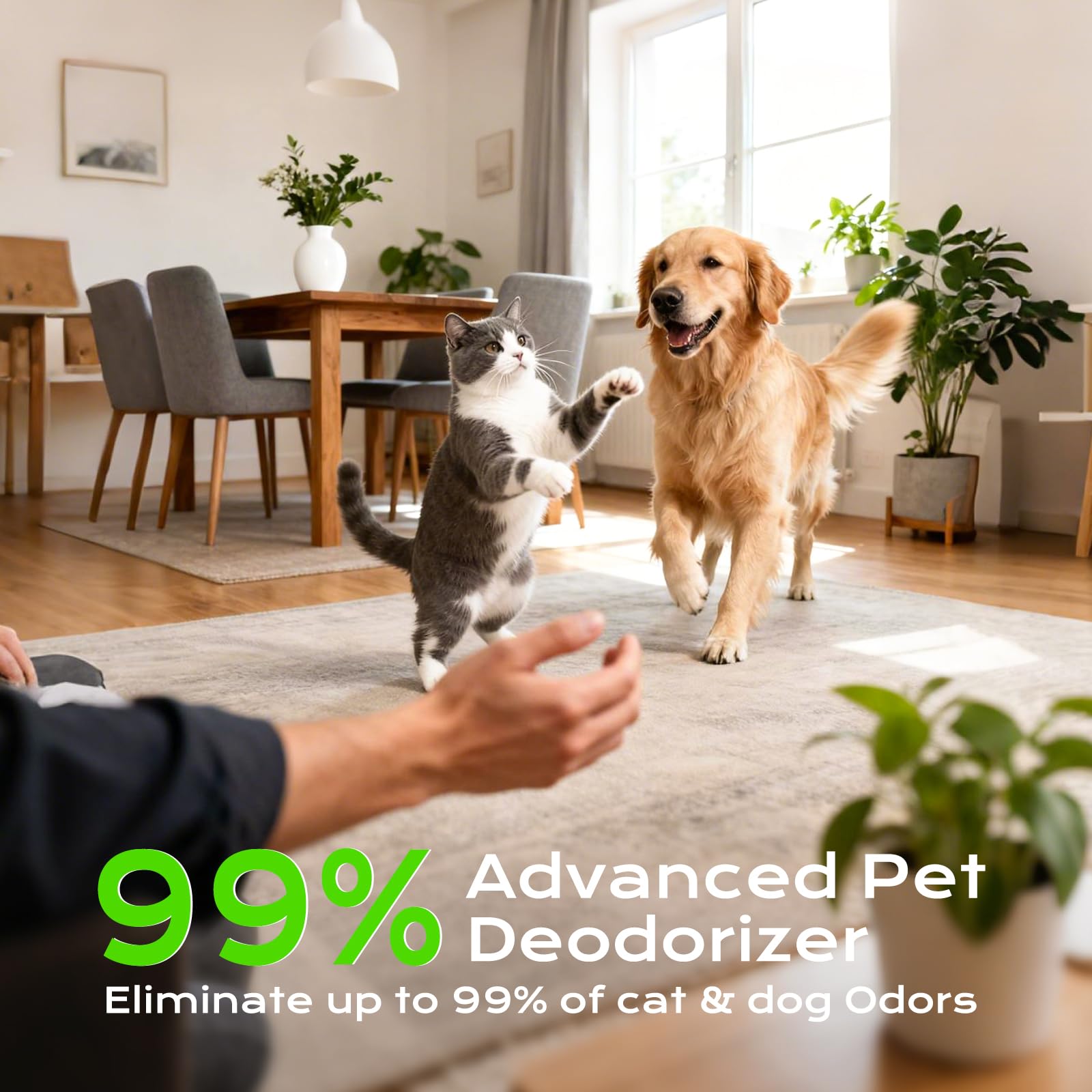 CASEQUUE filter-free odor eliminator with zero maintenance.