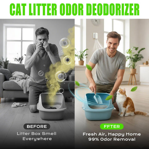 CASEQUUE whisper quiet purifier operating at night without disturbance.