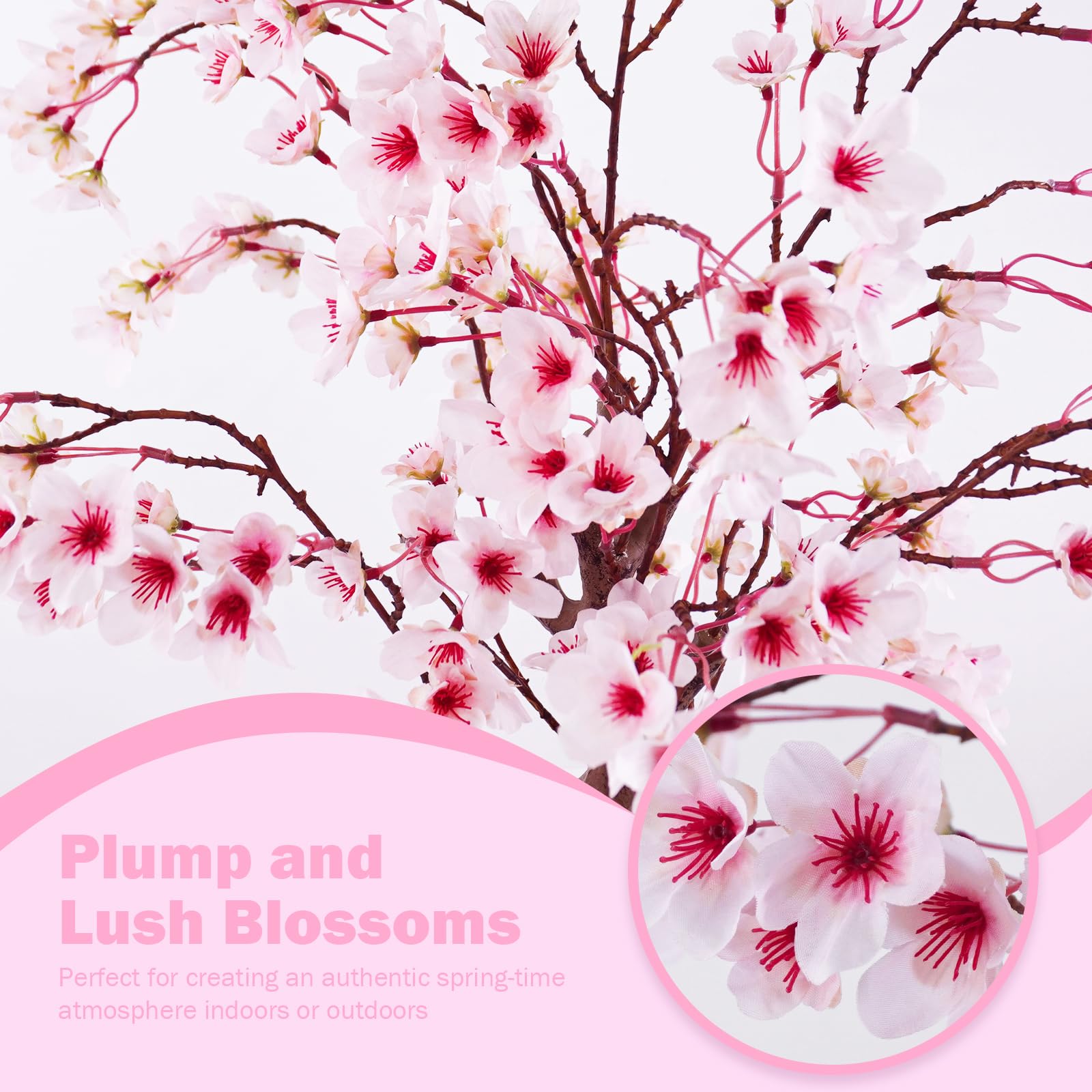 Caxchiling Cherry Blossom Tree 2ft white pot and decorative pebbles for minimalist styling