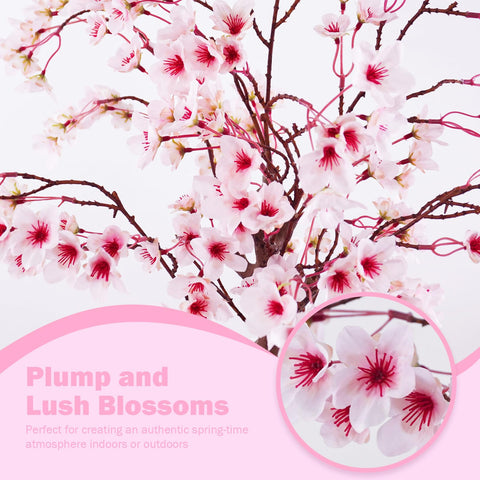 Caxchiling Cherry Blossom Tree 2ft white pot and decorative pebbles for minimalist styling