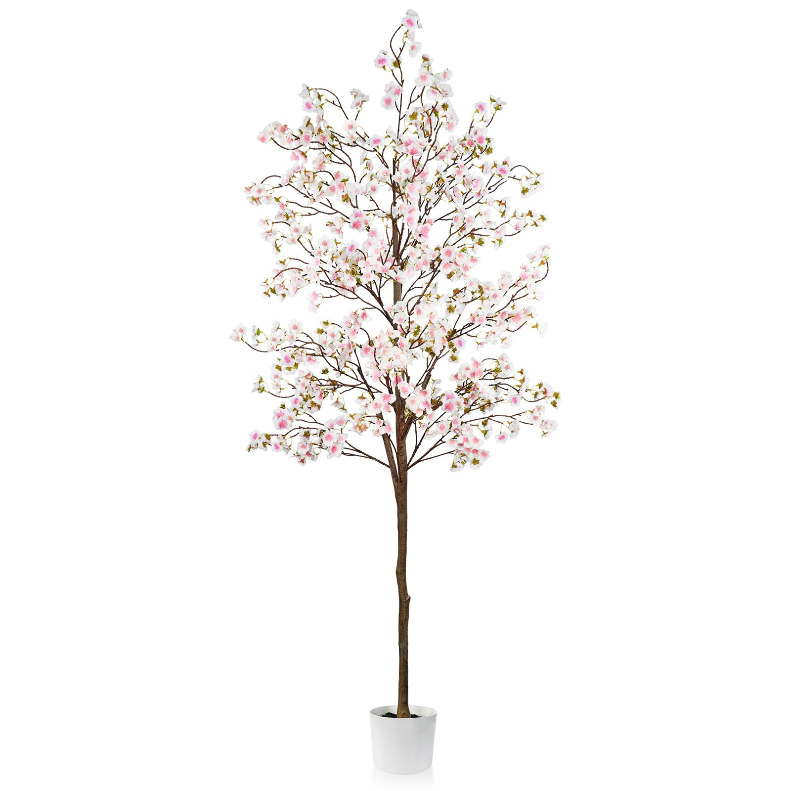 Caxchiling cherry blossom tree stands 6 ft tall with pink blooms for elegant indoors