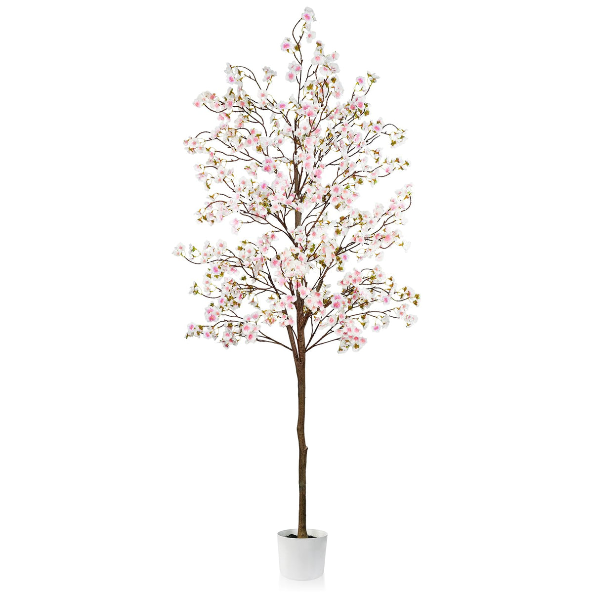 Caxchiling cherry blossom tree stands 6 ft tall with pink blooms for elegant indoors