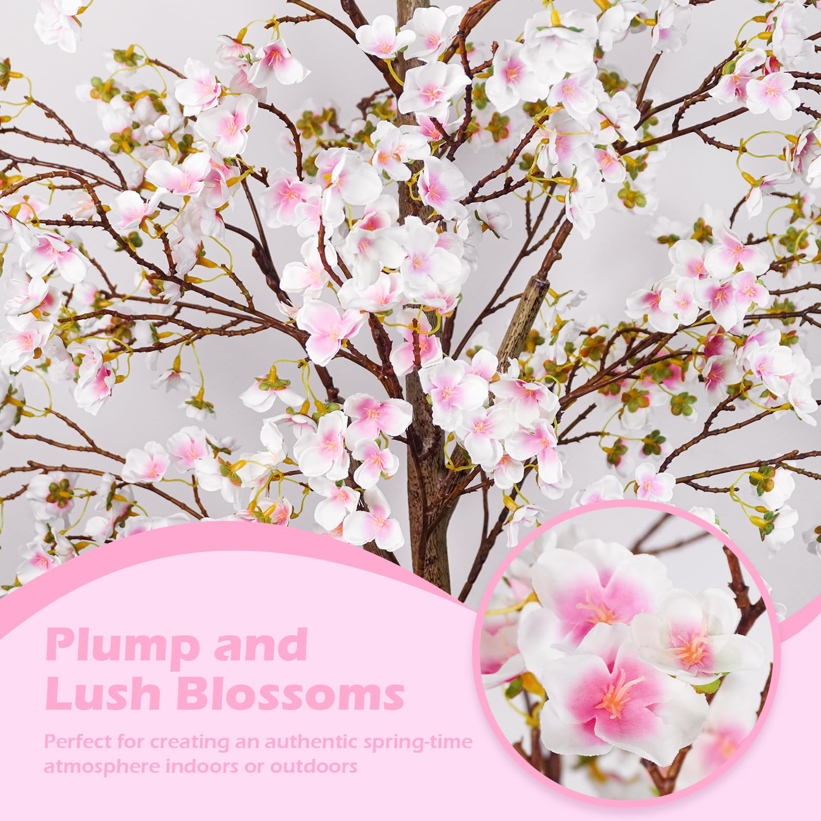 Caxchiling cherry blossom tree in white planter enhances home decor