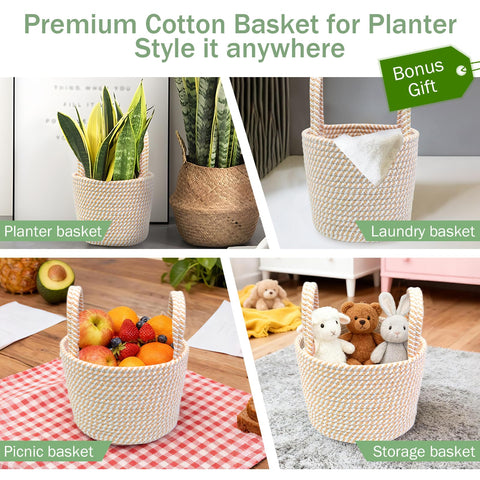 Caxchiling ficus tree and cotton basket offer versatile styling.