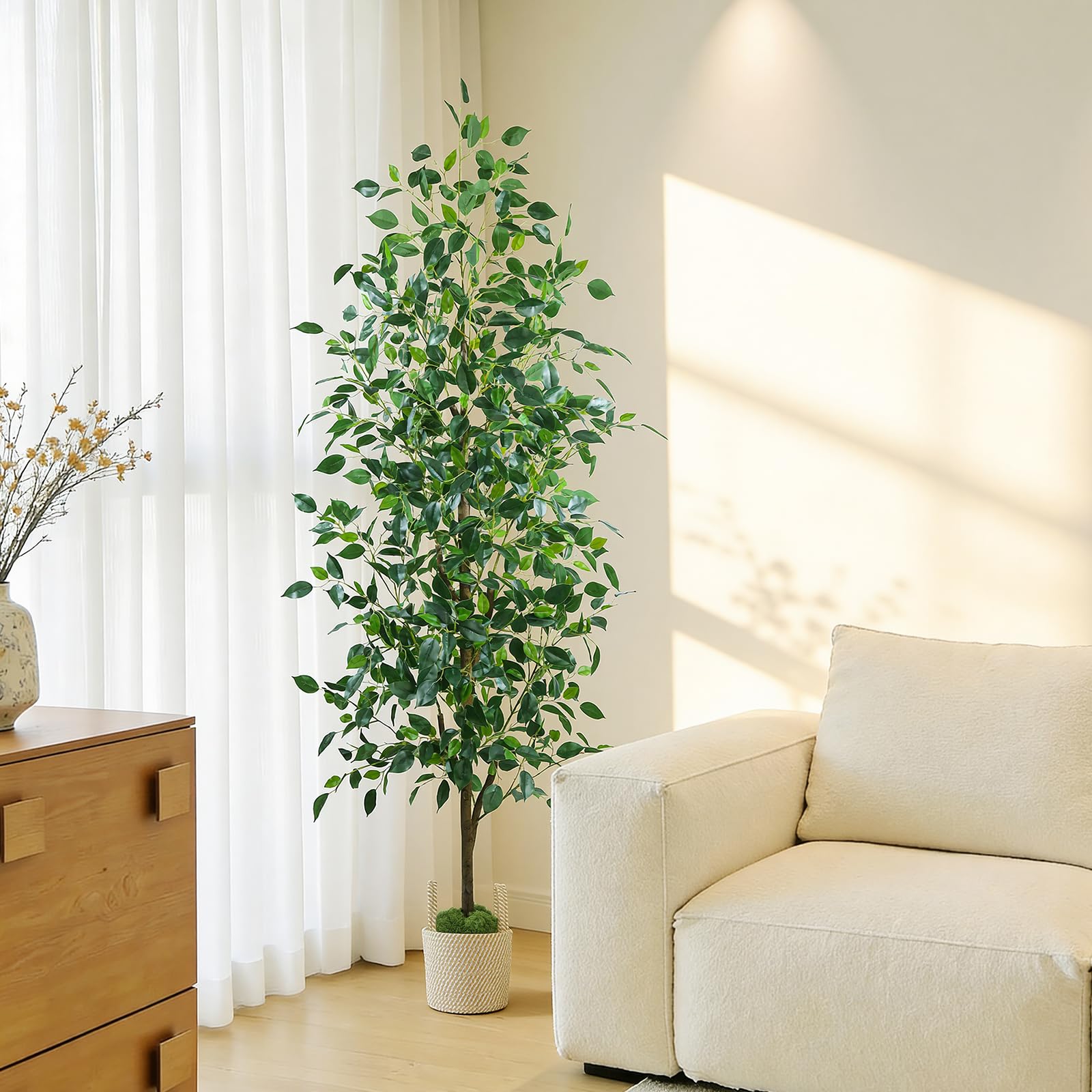 Indoor-outdoor ready Caxchiling ficus decor for hallways and entrances.