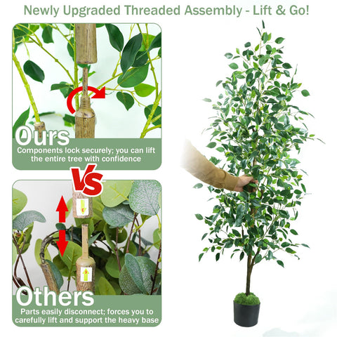 Caxchiling ficus with screw-in rod for easy setup.