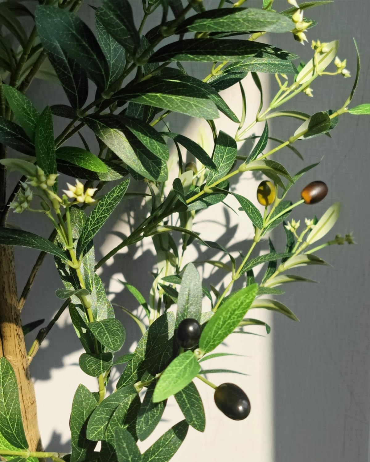 Caxchiling home office decor olive tree enhances space with greenery