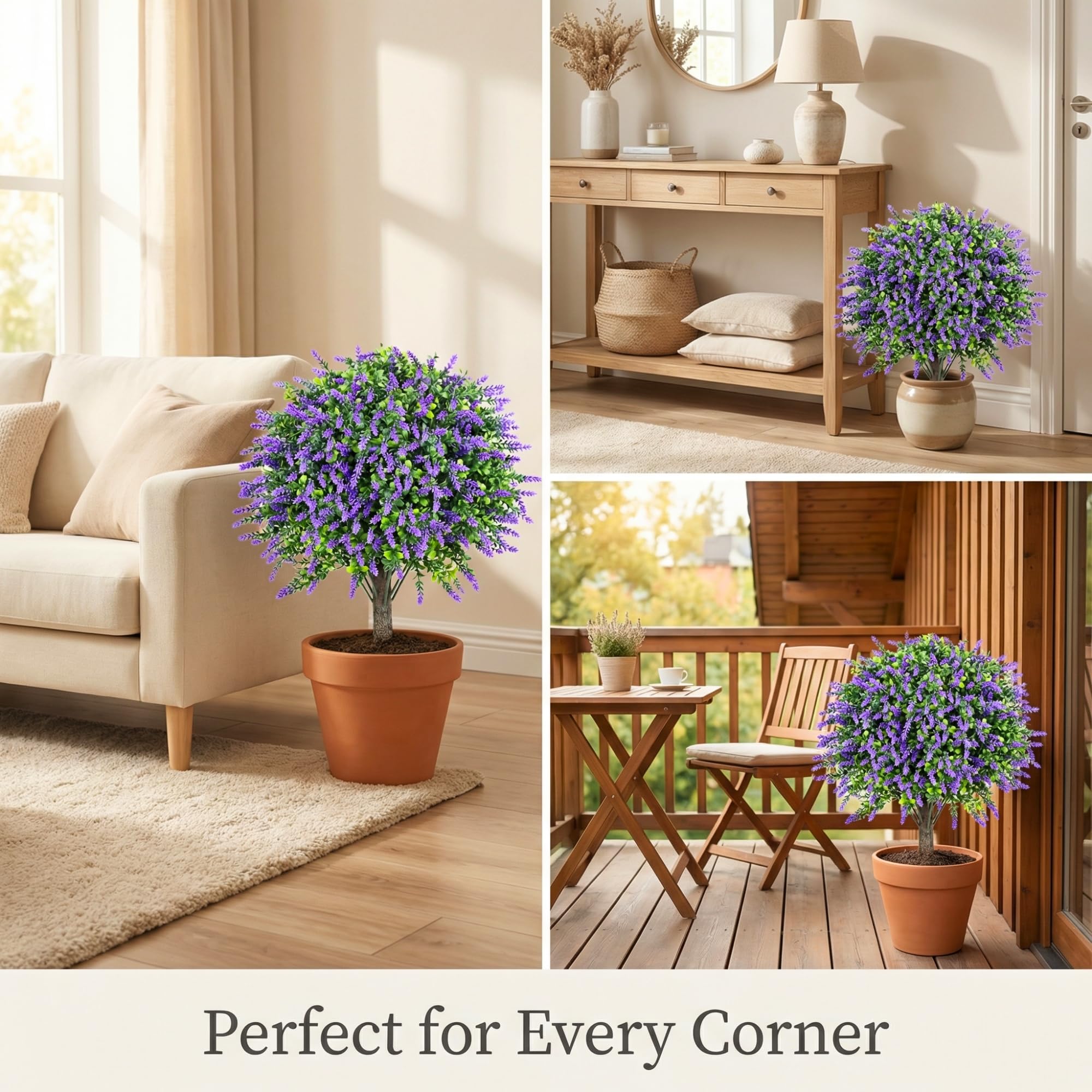 CAZZOVA patio decor lavender topiary accents modern entrances.