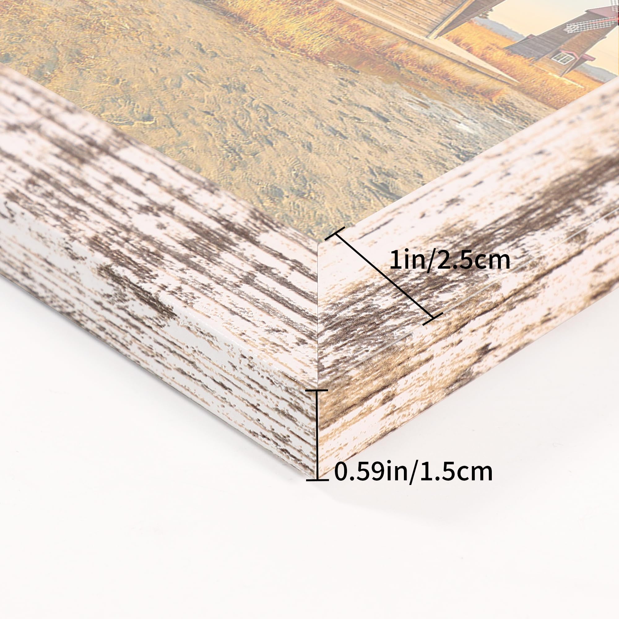 ccdcc easy-to-use back buckles enable quick photo swaps