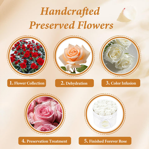 CDCO handcrafted preserved roses from expert artisans.
