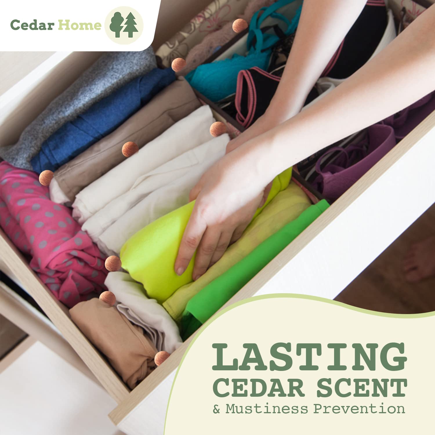 CEDAR HOME Closet scene with blocks for moisture and scent.