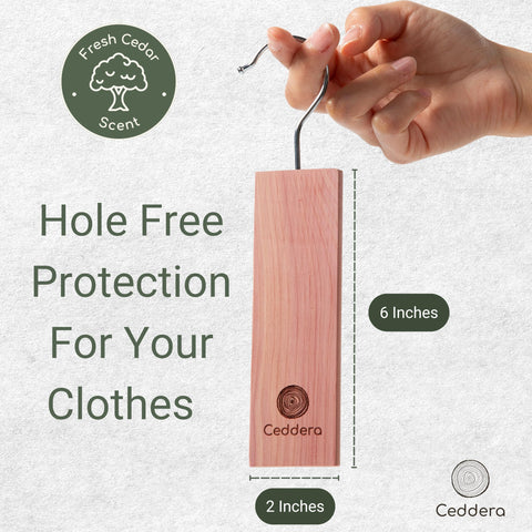 Ceddera cedar blocks placed in a closet for fresh protection