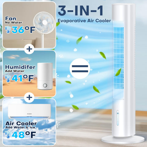 CENSTECH 35-inch ergonomic height for easy access.