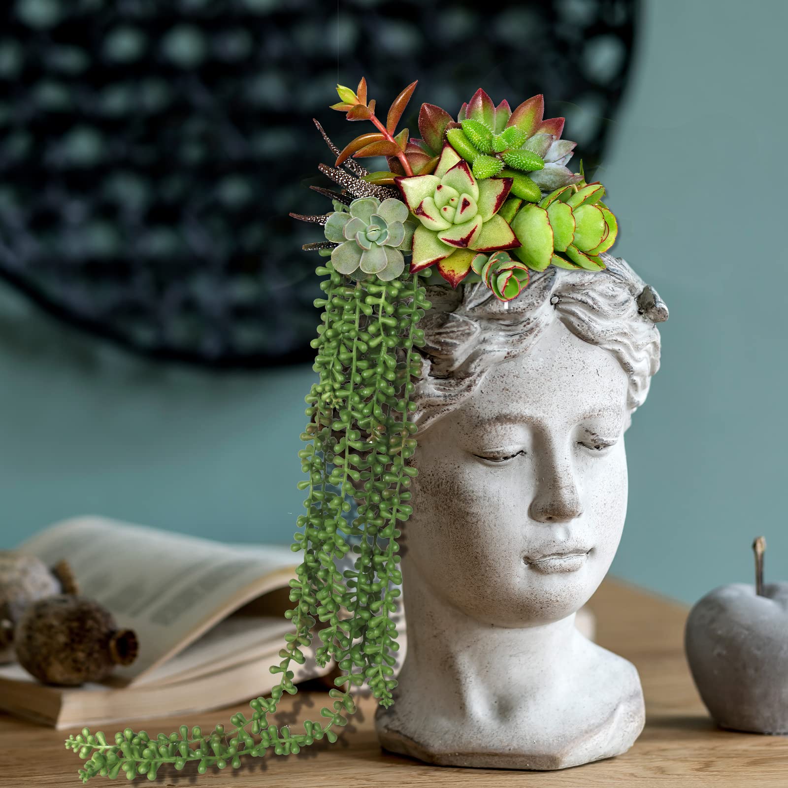 CEWOR durable PVC succulents for long-lasting indoor display.