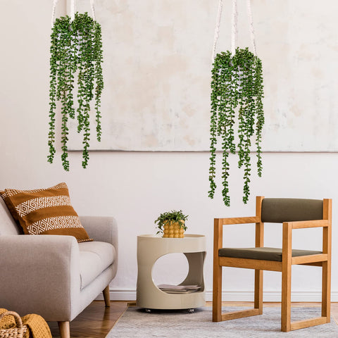 CEWOR hanging greenery suitable for office or classroom ambiance.