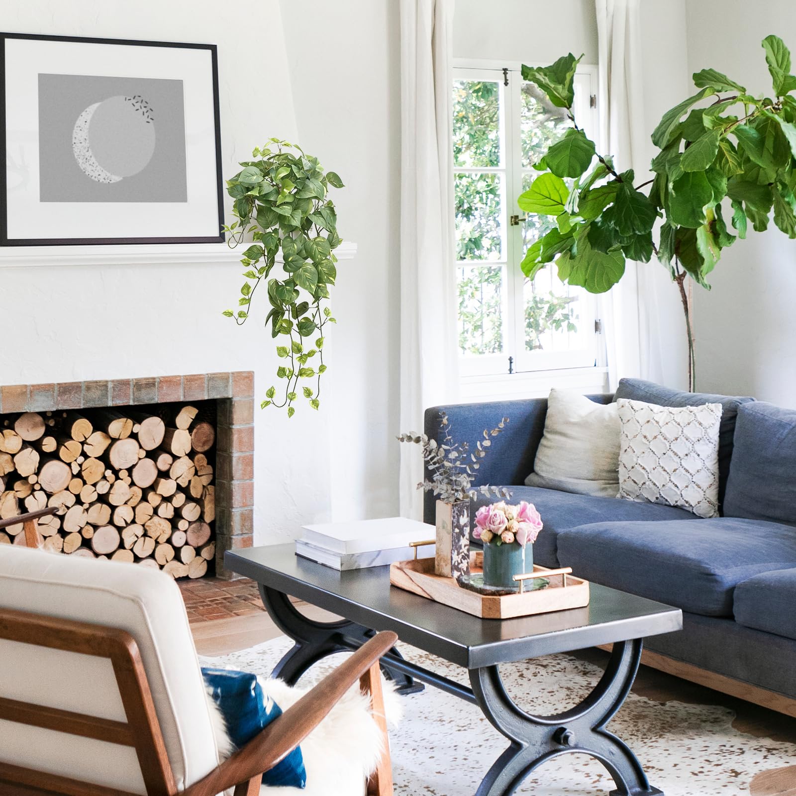 CEWOR Pothos enhances a natural atmosphere in living spaces and offices.
