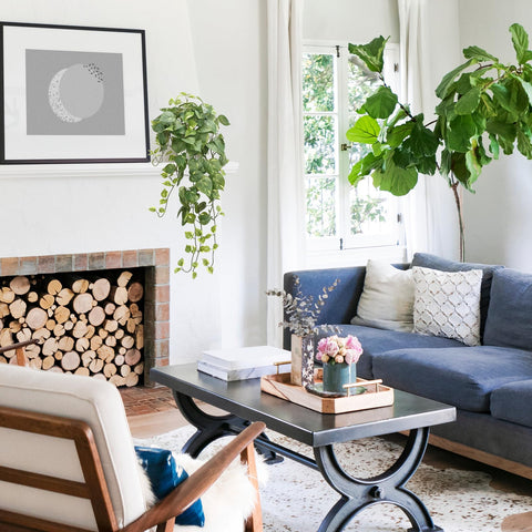 CEWOR Pothos enhances a natural atmosphere in living spaces and offices.
