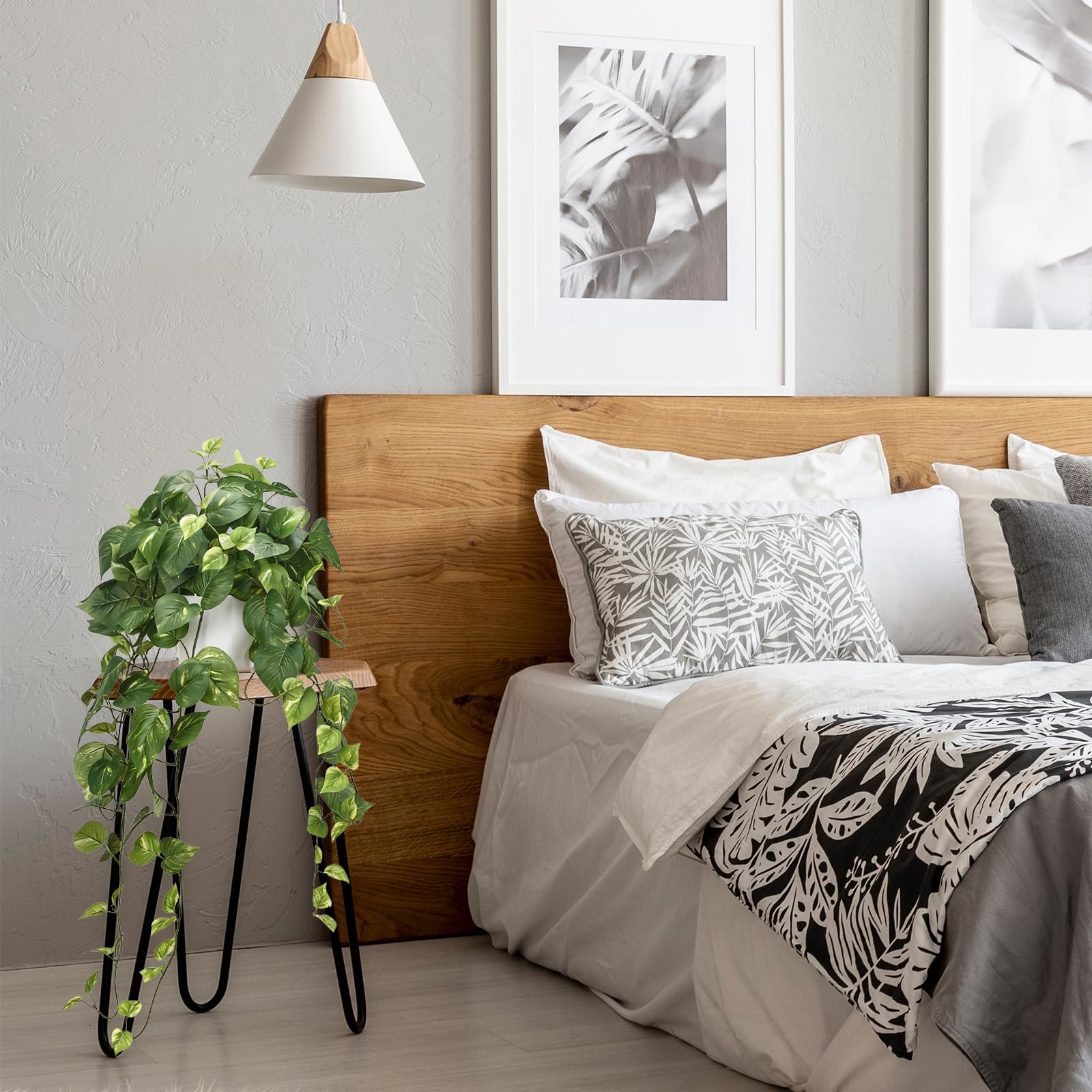 CEWOR Pothos on a shelf offers minimalist decor ideas for any room.