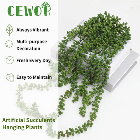 CEWOR succulent wall decor enhances living room atmosphere.