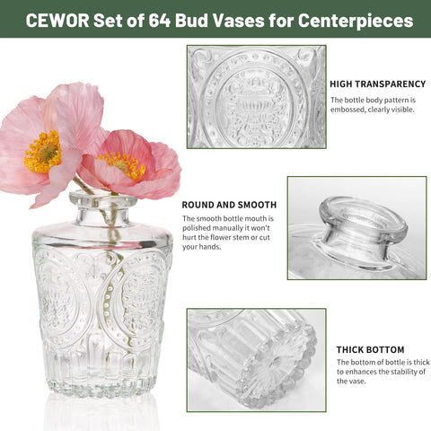 CEWOR thick clear glass vases with a stable base for easy arrangements.