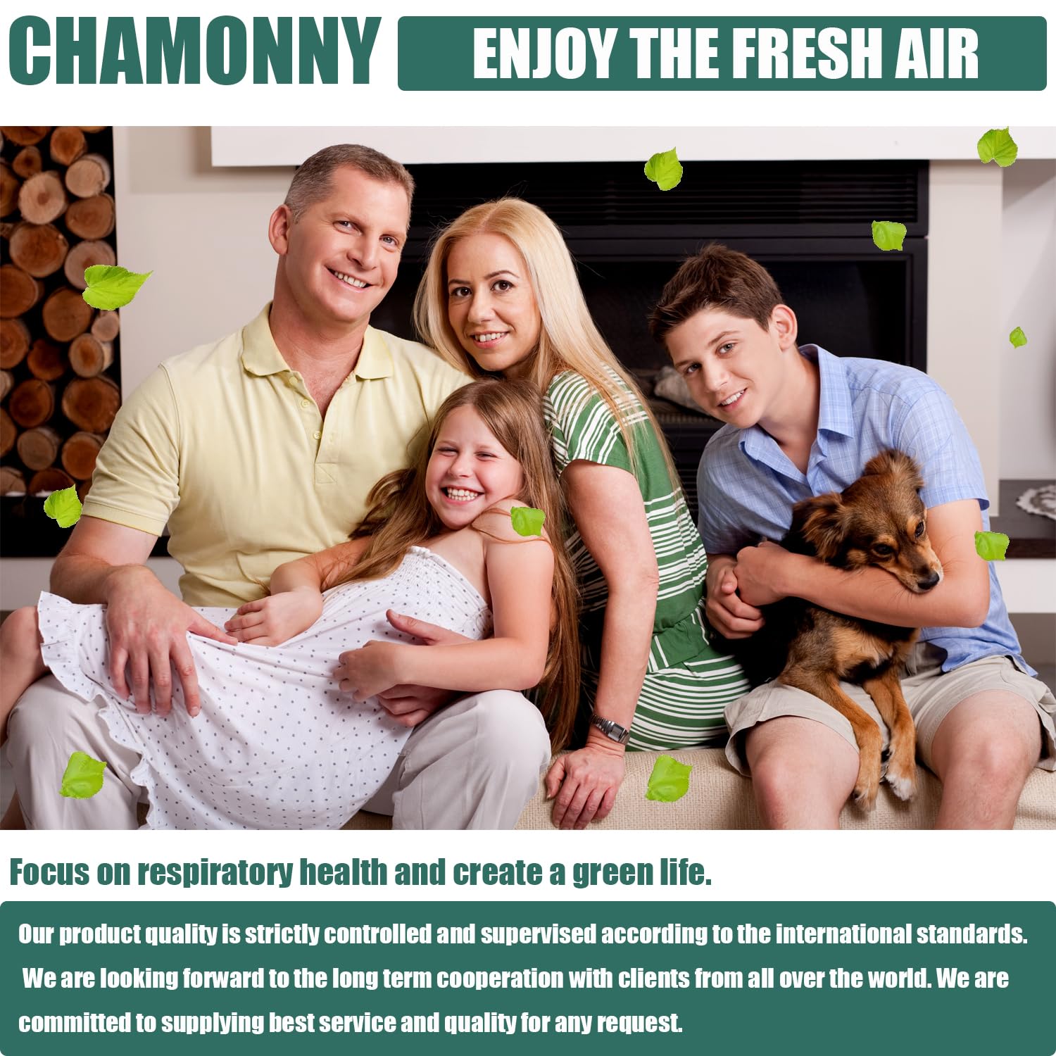 CHAMONNY AP-S0610L in-use installation inside a compact purifier