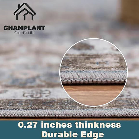 Champlant rug with TPR non-slip backing prevents movement on high-traffic floors.