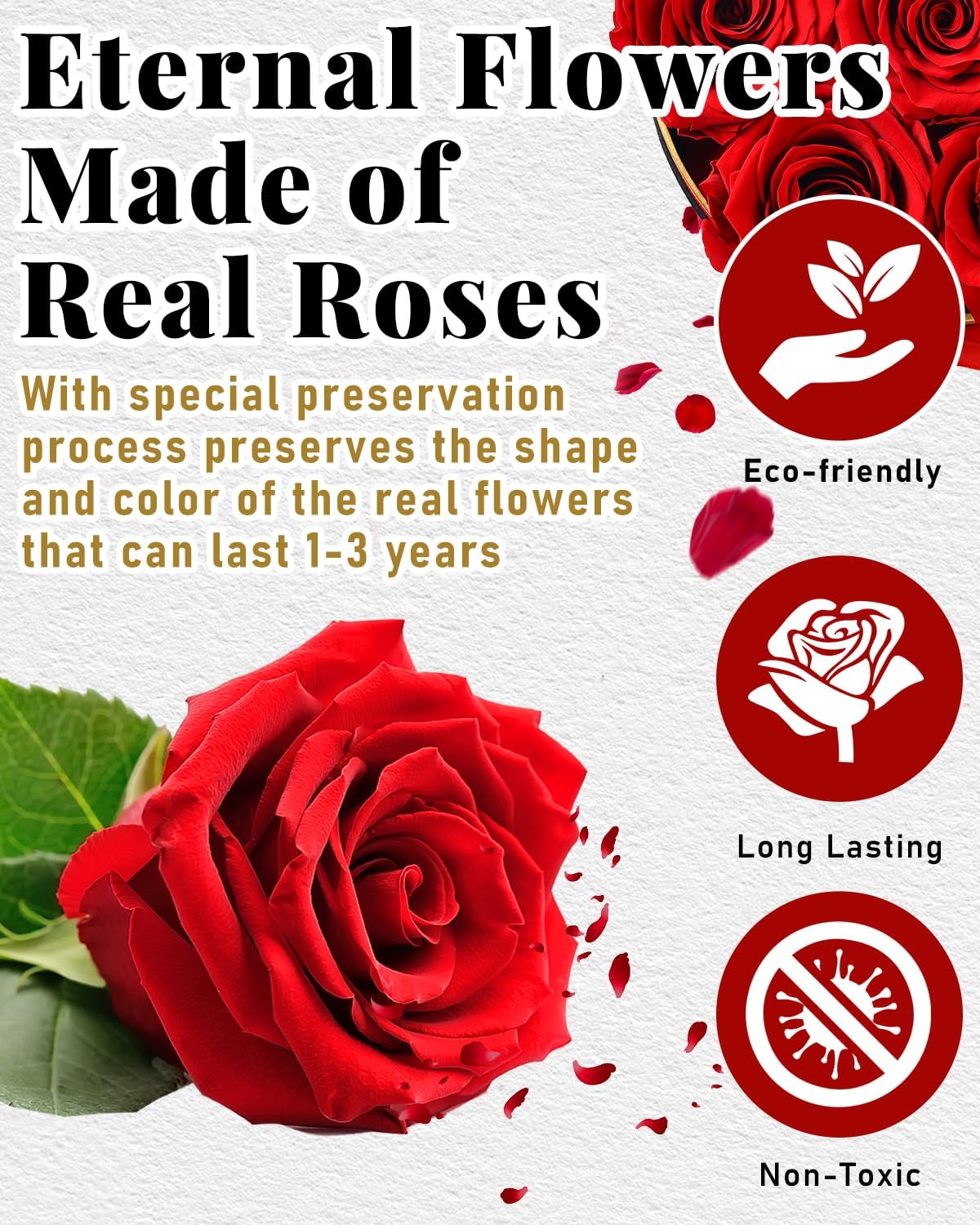 Changshunqi preserved roses in box, handmade detail highlighting craftsmanship and beauty.