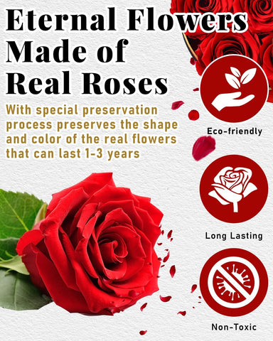 Changshunqi preserved roses in box, handmade detail highlighting craftsmanship and beauty.