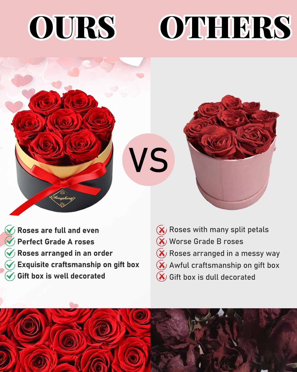 Changshunqi zero-maintenance roses, no upkeep required to enjoy beauty.