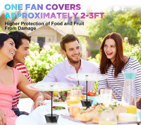 Chemotex portable fly fan for indoor and outdoor events like BBQs