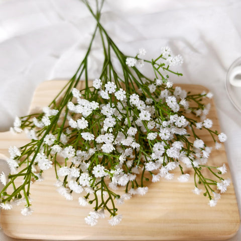 Cherica Baby Breath petal detail closeup showing lifelike fullness and soft texture