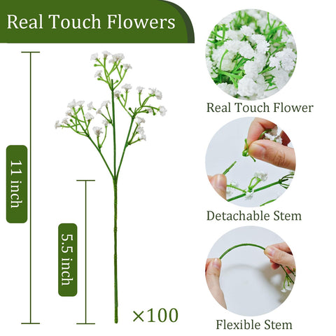 Cherica Baby's Breath white blooms for timeless elegance in home decor