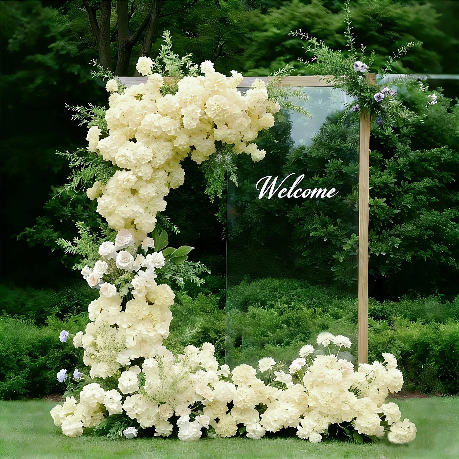 Cherica champagne hydrangea color ideal for weddings and parties