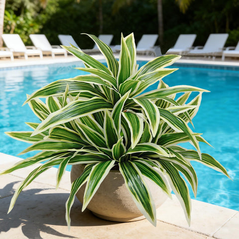 Cherica fake ferns balcony and patio display for instant greenery